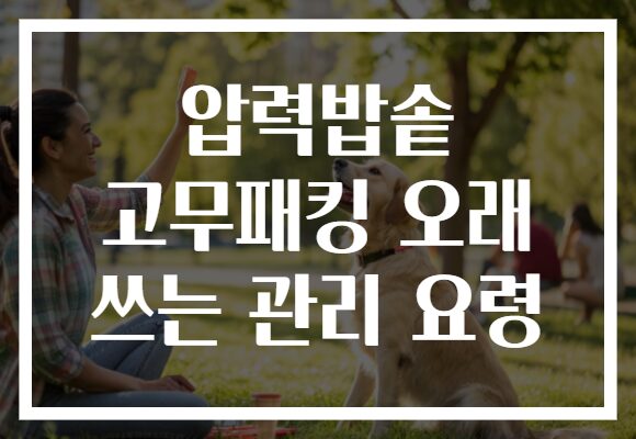 압력밥솥 고무패킹 오래 쓰는 관리 요령