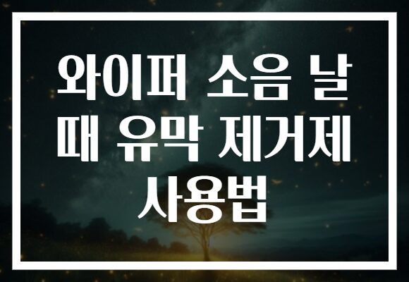 와이퍼 소음 날 때 유막 제거제 사용법