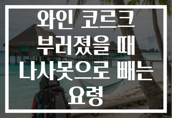 와인 코르크 부러졌을 때 나사못으로 빼는 요령