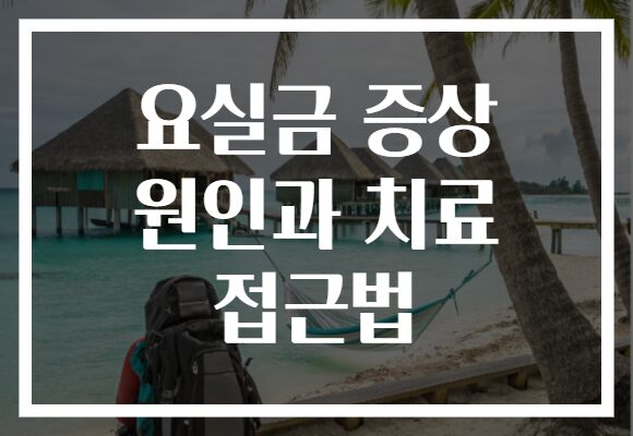 요실금 증상 원인과 치료 접근법