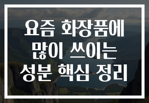 요즘 화장품에 많이 쓰이는 성분 핵심 정리