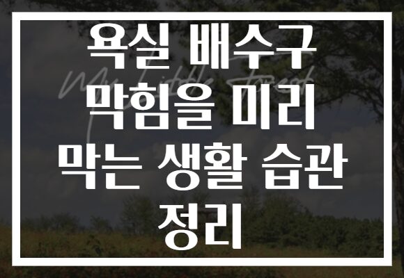 욕실 배수구 막힘을 미리 막는 생활 습관 정리