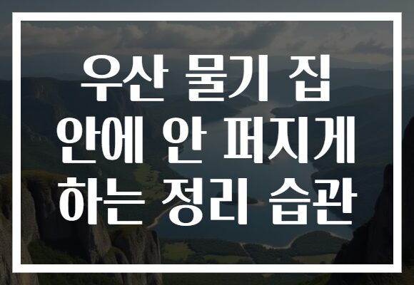 우산 물기 집 안에 안 퍼지게 하는 정리 습관