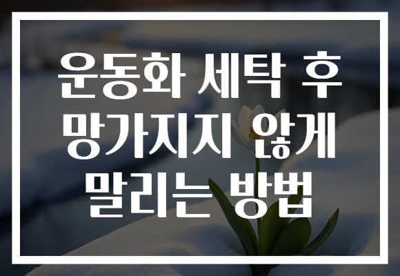 운동화 세탁 후 망가지지 않게 말리는 방법