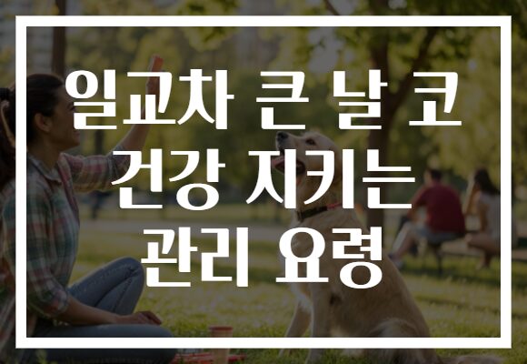 일교차 큰 날 코 건강 지키는 관리 요령