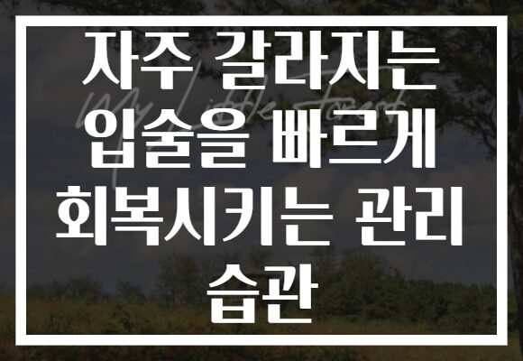 자주 갈라지는 입술을 빠르게 회복시키는 관리 습관