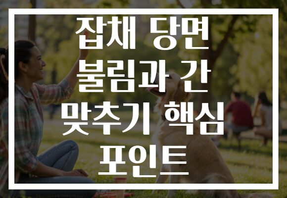 잡채 당면 불림과 간 맞추기 핵심 포인트
