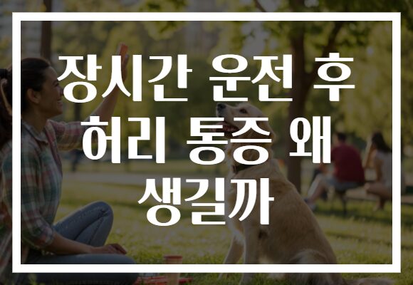 장시간 운전 후 허리 통증 왜 생길까