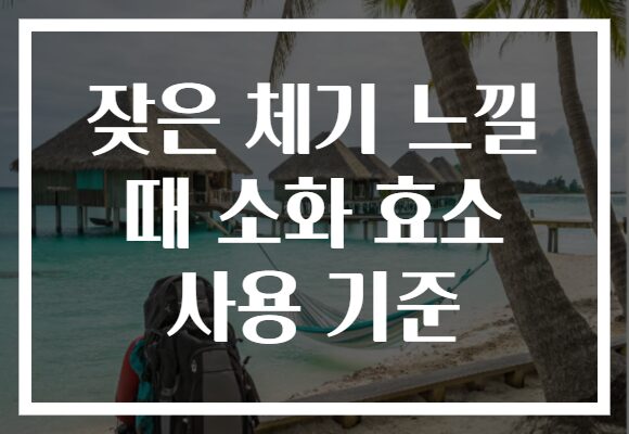 잦은 체기 느낄 때 소화 효소 사용 기준
