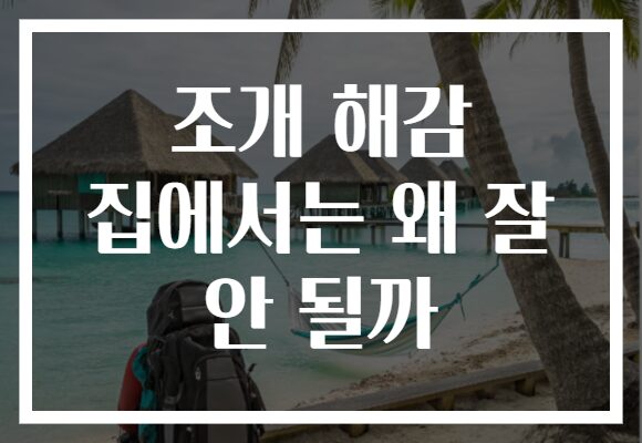 조개 해감 집에서는 왜 잘 안 될까