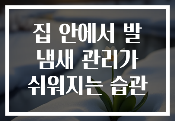 집 안에서 발 냄새 관리가 쉬워지는 습관