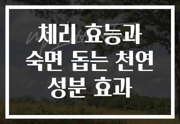 체리 효능과 숙면 돕는 천연 성분 효과