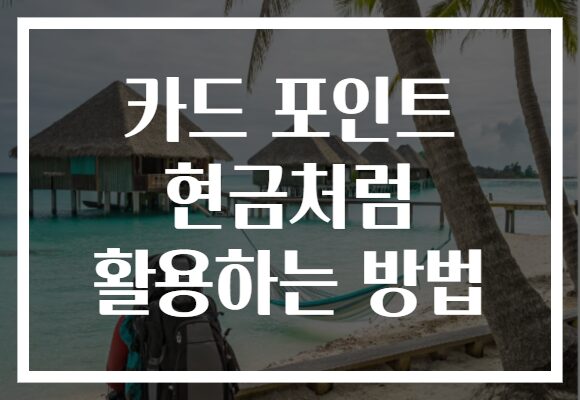 카드 포인트 현금처럼 활용하는 방법