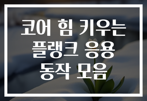 코어 힘 키우는 플랭크 응용 동작 모음
