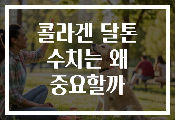 콜라겐 달톤 수치는 왜 중요할까