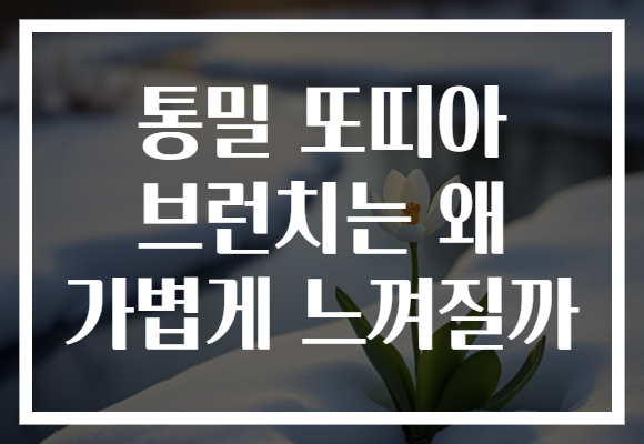 통밀 또띠아 브런치는 왜 가볍게 느껴질까