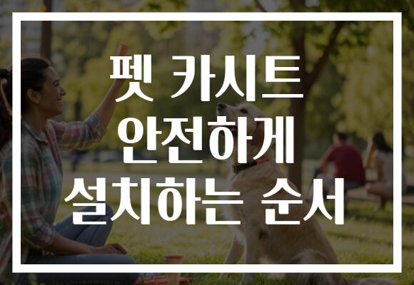펫 카시트 안전하게 설치하는 순서
