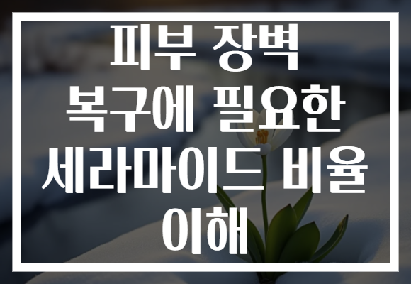 피부 장벽 복구에 필요한 세라마이드 비율 이해