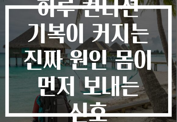 하루 컨디션 기복이 커지는 진짜 원인 몸이 먼저 보내는 신호