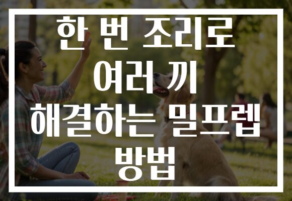 한 번 조리로 여러 끼 해결하는 밀프렙 방법