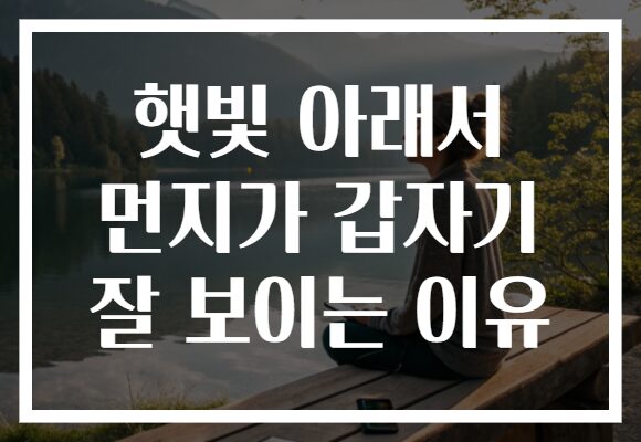 햇빛 아래서 먼지가 갑자기 잘 보이는 이유