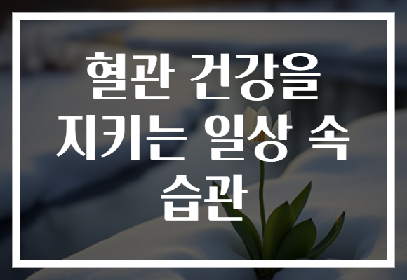 혈관 건강을 지키는 일상 속 습관