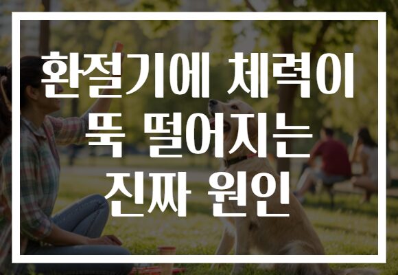 환절기에 체력이 뚝 떨어지는 진짜 원인