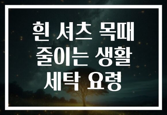 흰 셔츠 목때 줄이는 생활 세탁 요령