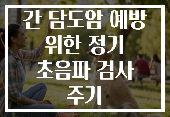 간 담도암 예방 위한 정기 초음파 검사 주기