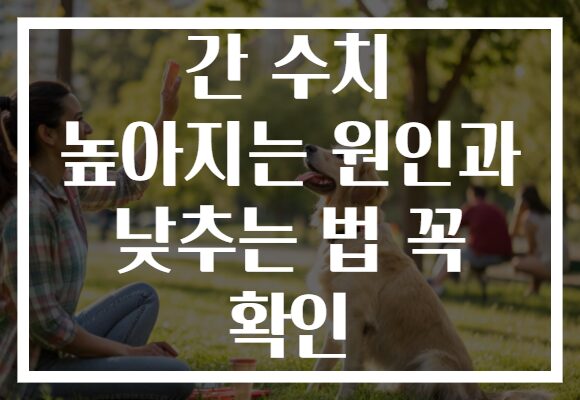 간 수치 높아지는 원인과 낮추는 법 꼭 확인