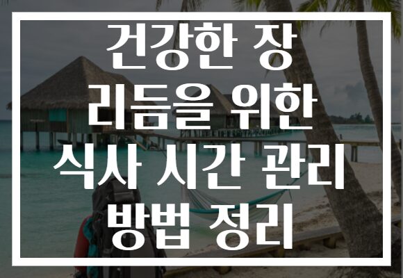 건강한 장 리듬을 위한 식사 시간 관리 방법 정리