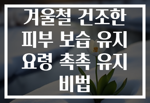 겨울철 건조한 피부 보습 유지 요령 촉촉 유지 비법