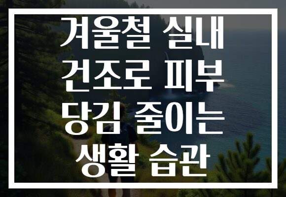 겨울철 실내 건조로 피부 당김 줄이는 생활 습관