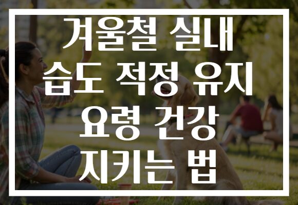 겨울철 실내 습도 적정 유지 요령 건강 지키는 법