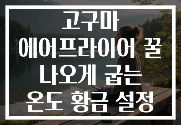 고구마 에어프라이어 꿀 나오게 굽는 온도 황금 설정