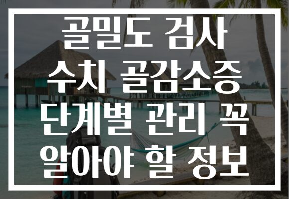 골밀도 검사 수치 골감소증 단계별 관리 꼭 알아야 할 정보