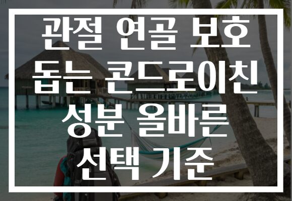 관절 연골 보호 돕는 콘드로이친 성분 올바른 선택 기준