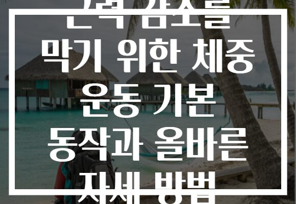 근력 감소를 막기 위한 체중 운동 기본 동작과 올바른 자세 방법
