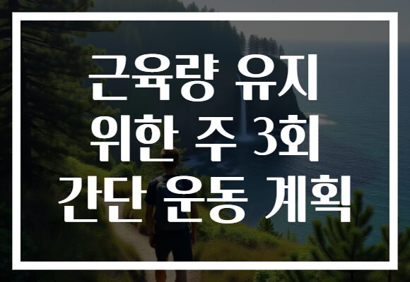 근육량 유지 위한 주 3회 간단 운동 계획
