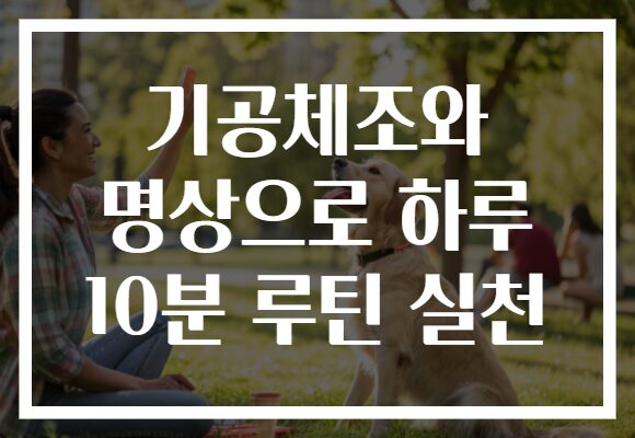 기공체조와 명상으로 하루 10분 루틴 실천