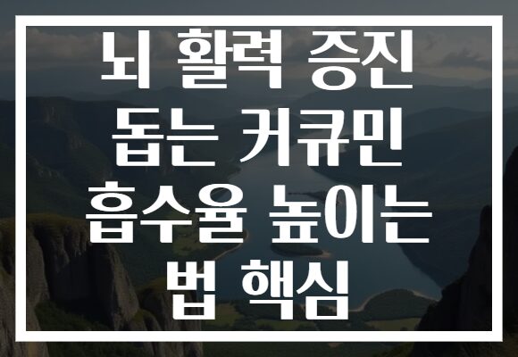뇌 활력 증진 돕는 커큐민 흡수율 높이는 법 핵심