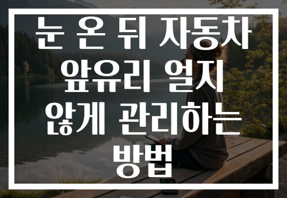 눈 온 뒤 자동차 앞유리 얼지 않게 관리하는 방법
