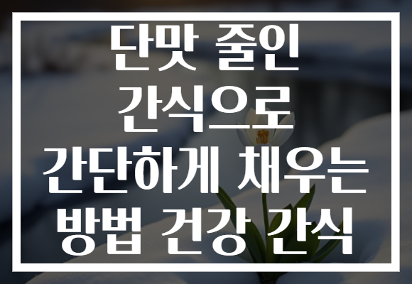 단맛 줄인 간식으로 간단하게 채우는 방법 건강 간식