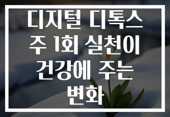 디지털 디톡스 주 1회 실천이 건강에 주는 변화