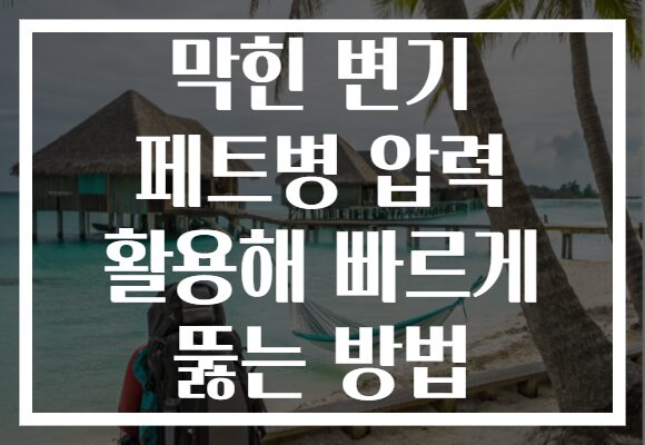 막힌 변기 페트병 압력 활용해 빠르게 뚫는 방법
