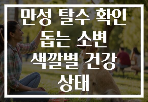 만성 탈수 확인 돕는 소변 색깔별 건강 상태