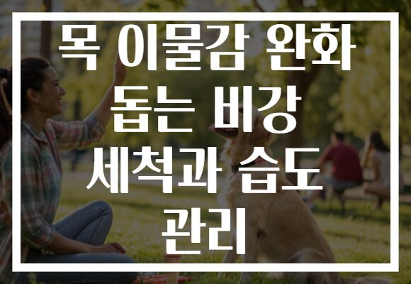 목 이물감 완화 돕는 비강 세척과 습도 관리