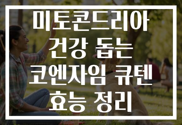 미토콘드리아 건강 돕는 코엔자임 큐텐 효능 정리