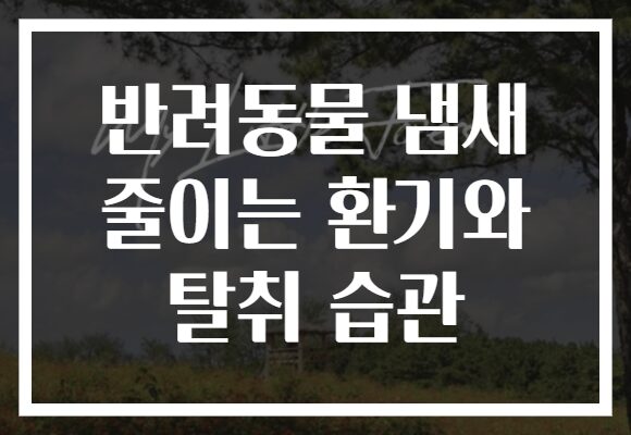 반려동물 냄새 줄이는 환기와 탈취 습관