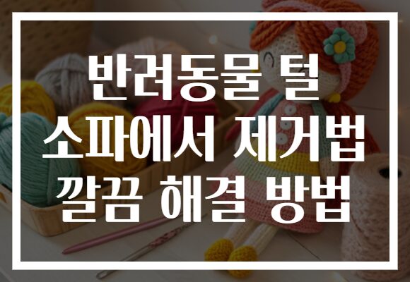 반려동물 털 소파에서 제거법 깔끔 해결 방법